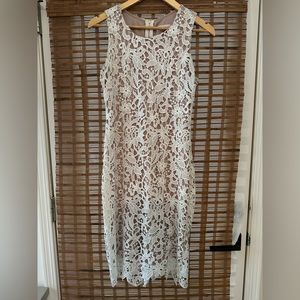 Calvin Klein white and nude lace dress